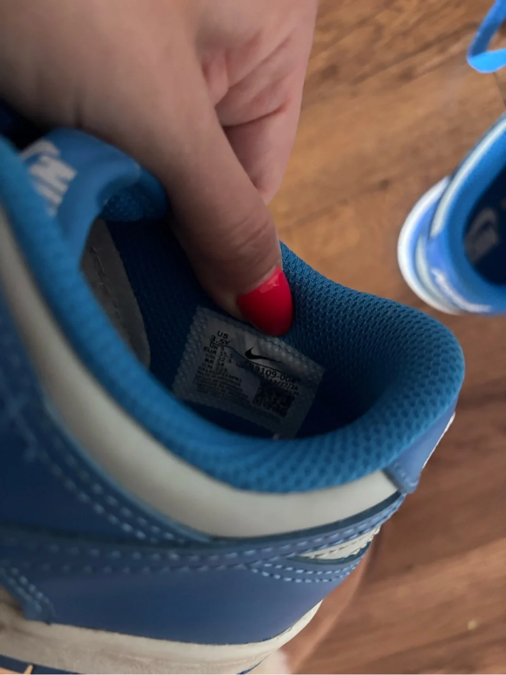 Nike Kids' Dunk Blue and Gray Low-Top Sneakers